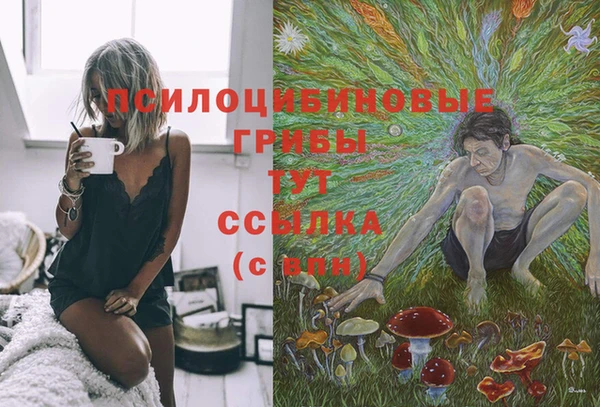 первитин Балахна