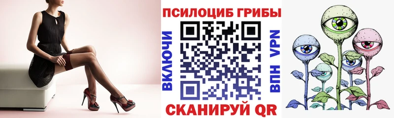 Галлюциногенные грибы мицелий  купить   Черняховск 
